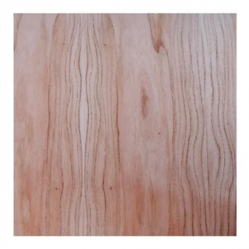 ENCHAP PARAISO 18MM AGLO