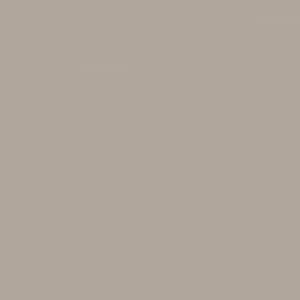 PLACA GRIS TAPIR 18MM 275